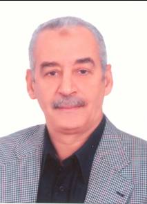 مجدى شرف السيدعبدالعزيز